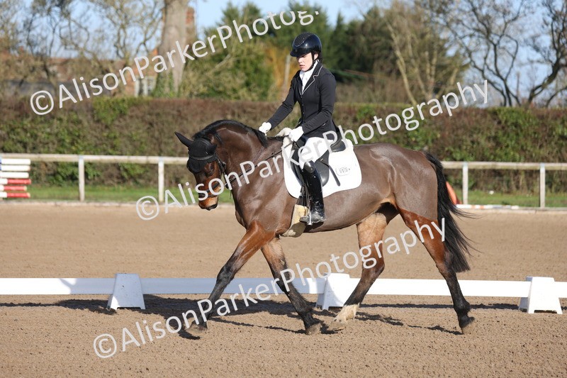 20260128-0146 - Class 3 - Novice 4