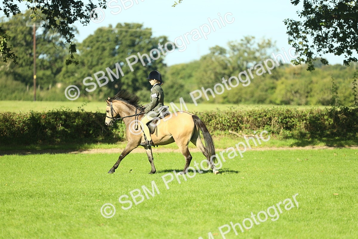 SBM_36498 - S29 - Novice & Newcomers Working Hunter Pony