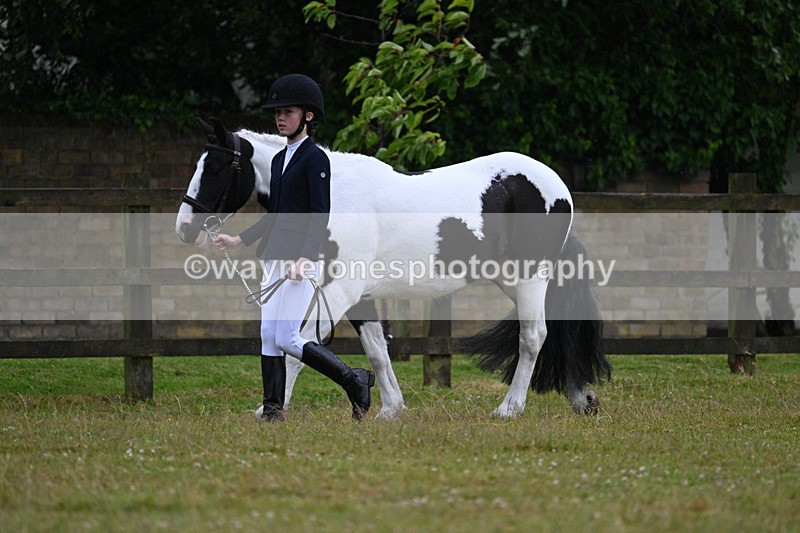 WJ7_5842 - Class 4 Prettiest Mare in Hand