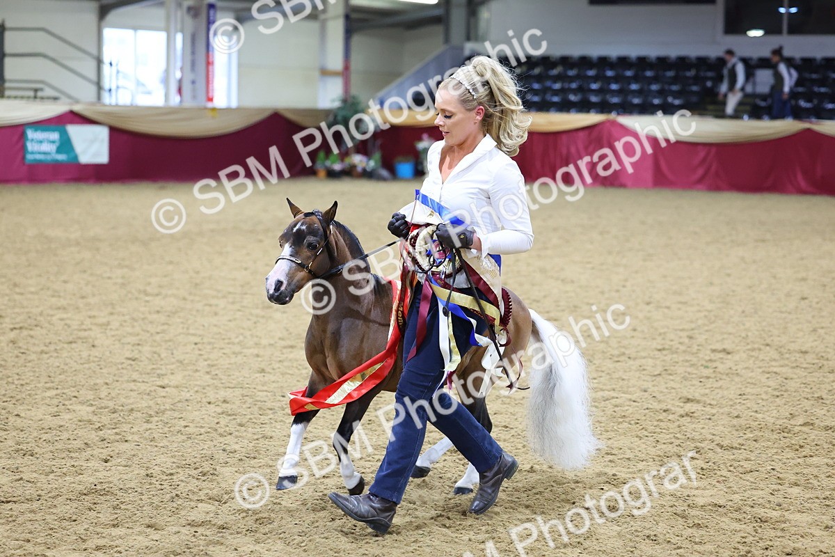SBM_18758 - Class D IH Pony Champ