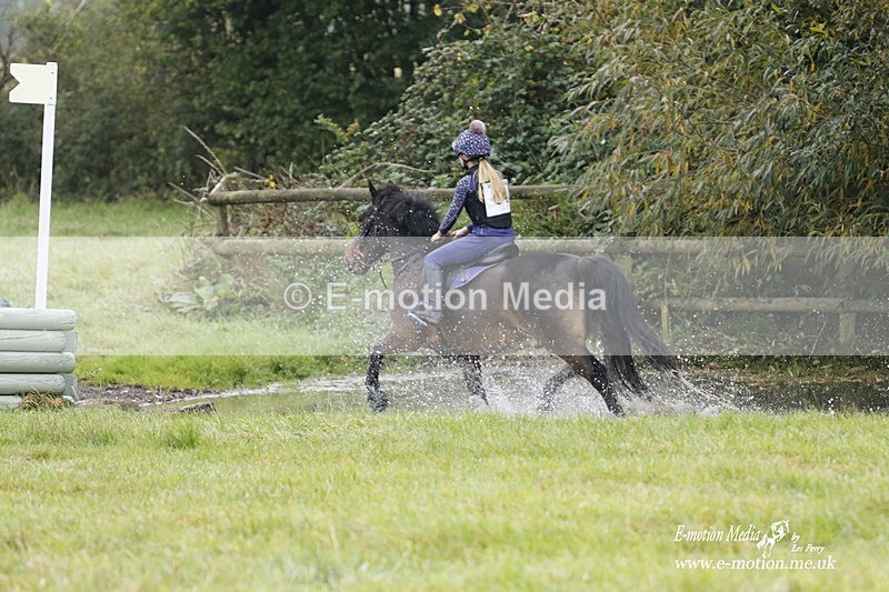  WWHT 171021 0978 - Open Novice (0.80m)  17/10/21