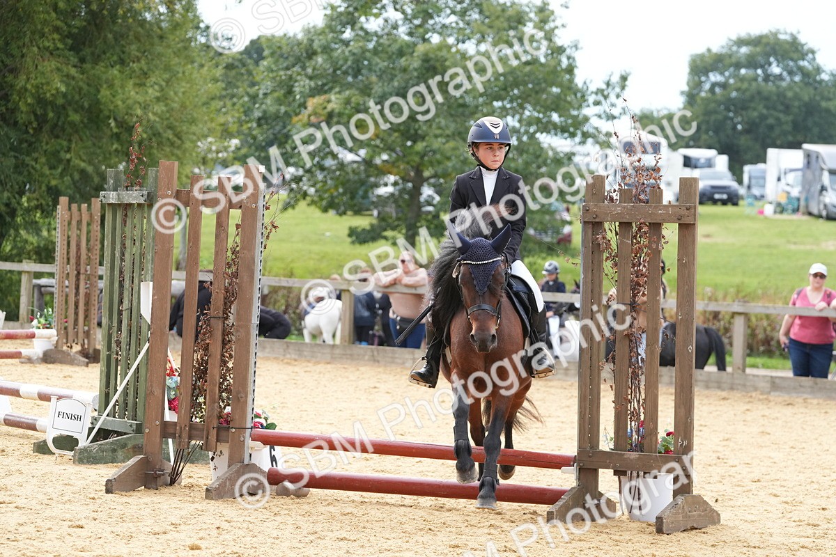 SBM_70590 - J3 - Mini Tour Junior Pony 40cm Championship