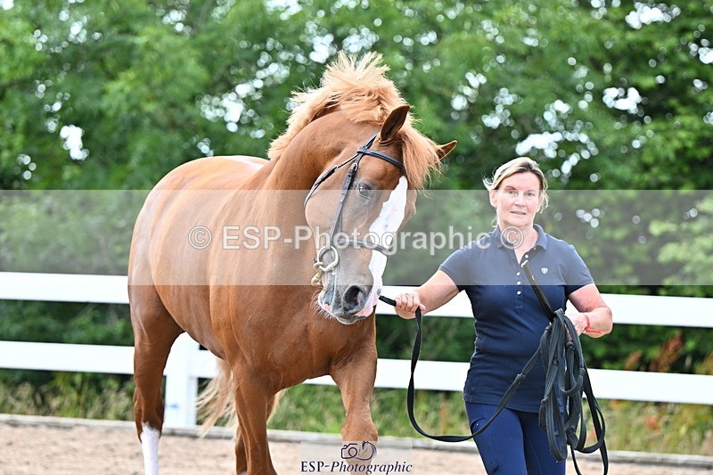 240718A-105327-02038 - Trot Up 2pm to 3pm - This folder is not in time order