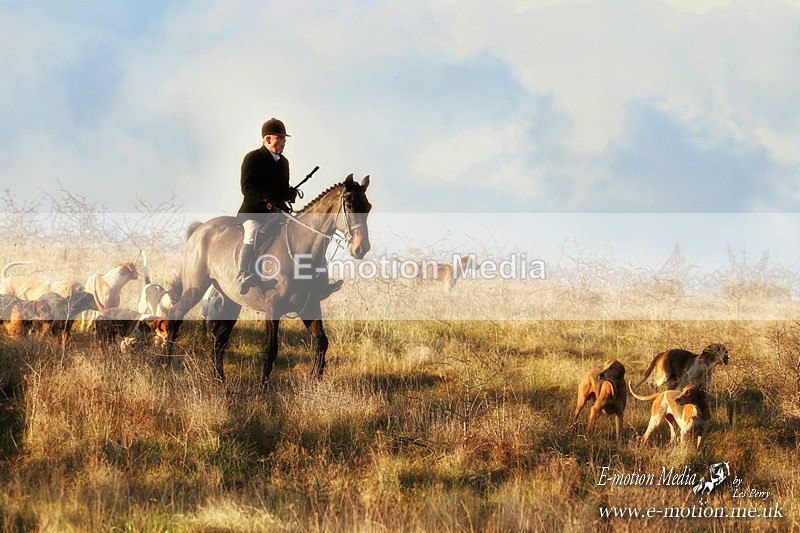 SP 051220 - 48abcd - Equestrian