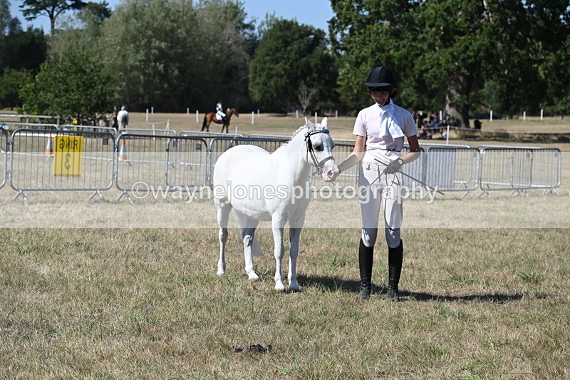 WJ6_9336 - Class 40 Cheekiest Pony/Horse