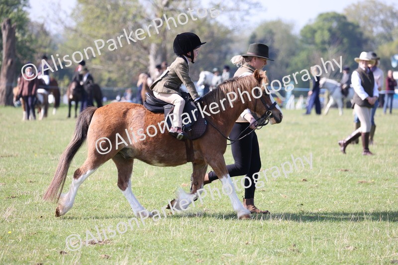 20250427-0162 - Class 30 - Tiny Tots Lead Rein
