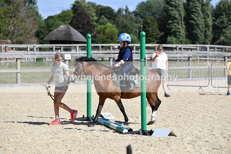 WJ5_5025 - Poles on the Floor