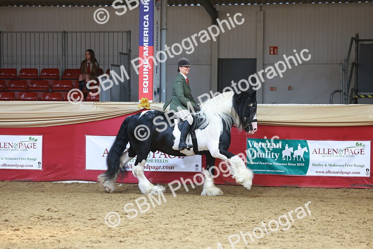 SBM_12740 - HOYS Veteran Qualifier - Ridden Champ