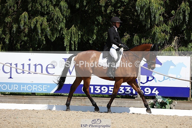 230526-150225-06607 - 377-GOLD_NUGGET-Jillian_Giessen-WEDTrotUp+DR