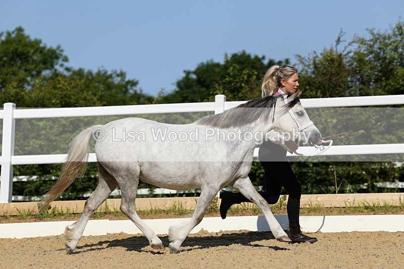 1X9A0519 - Class 2: M & M $ years and over
