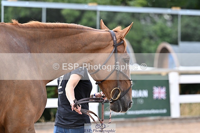 250716-134900-00673 - Trot Up 1.30 to 2.30