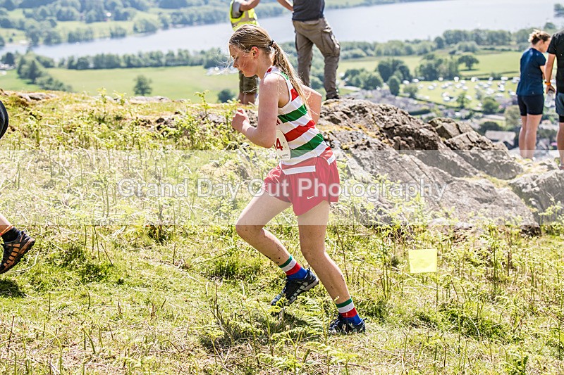 Coniston Junior-140 - Coniston Gullies Junior Fell Races Sunday 24th May 2026