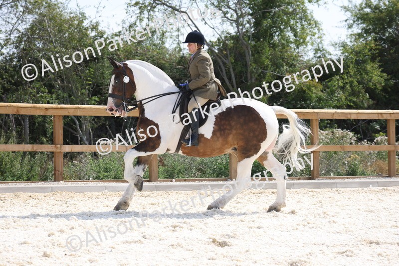 20260802-0546 - Class 6 - Veteran Ridden