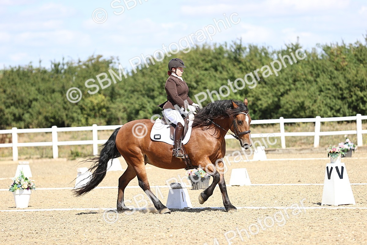 SBM_013956