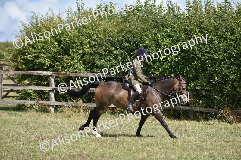 20250831-4108 - Class 13 - Working Hunter Horse or Pony