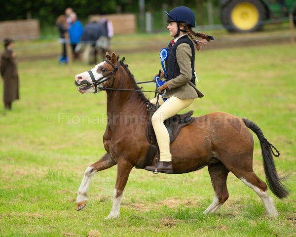 Dunblane show-48 - Dunblane and Doune Show Ring 1