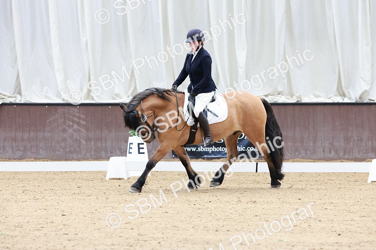 SBM_003201 - Intro 2