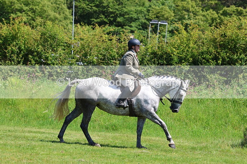 3E7A8291 - Class 13: Ridden Hunter