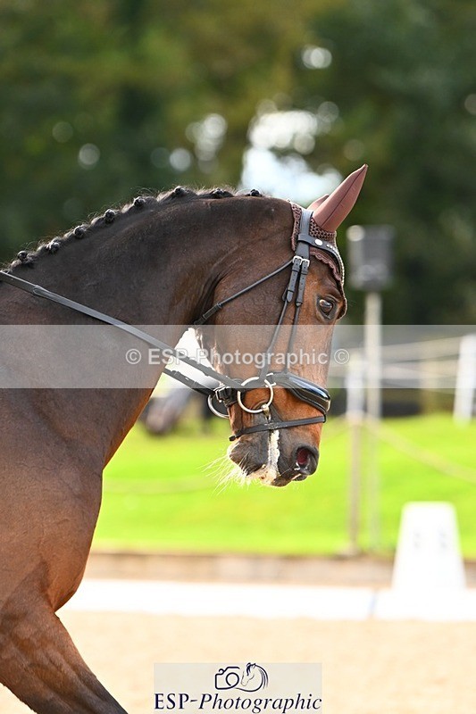 231021-140652-17773 - 353-EVERON.VIVENDI-Fred.Scala-DR