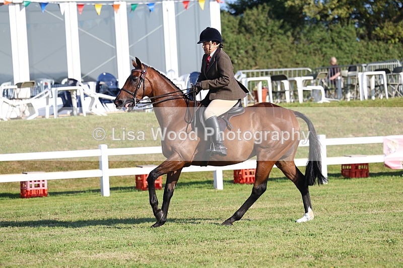 3E7A5008 - Class 1: Rising Star Small Hack/Riding Horses