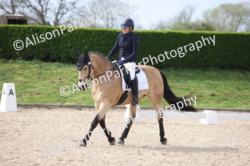 20260404-0875 - Class 5 - Novice 2