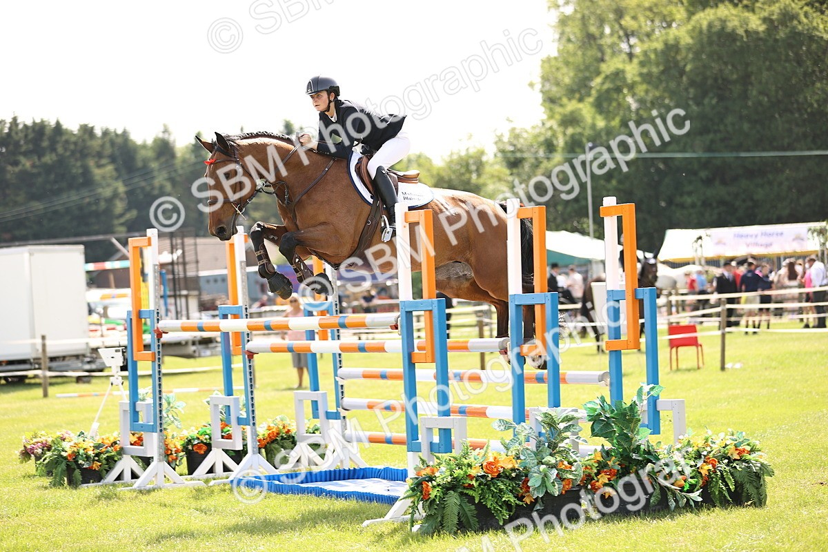 SBM_03124 - Class 201 - British Horse Feedds Speedi Beet HOYS Grade C