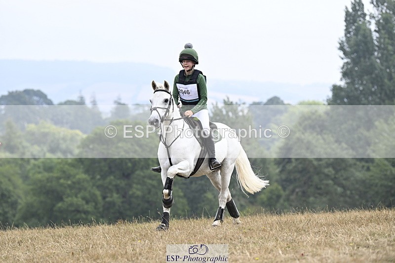 250824A-120838-36239 - 2046-Nancy.Carter-TVs.Rebel