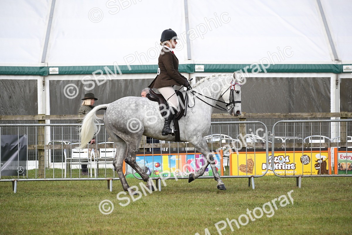 SBM_11507 - Class 95-96 - LIHS BSHA Rising Star Hack Riding Horse