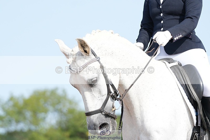 250815-103803-00472 - 006-Scarlett.JohnCapote.GB