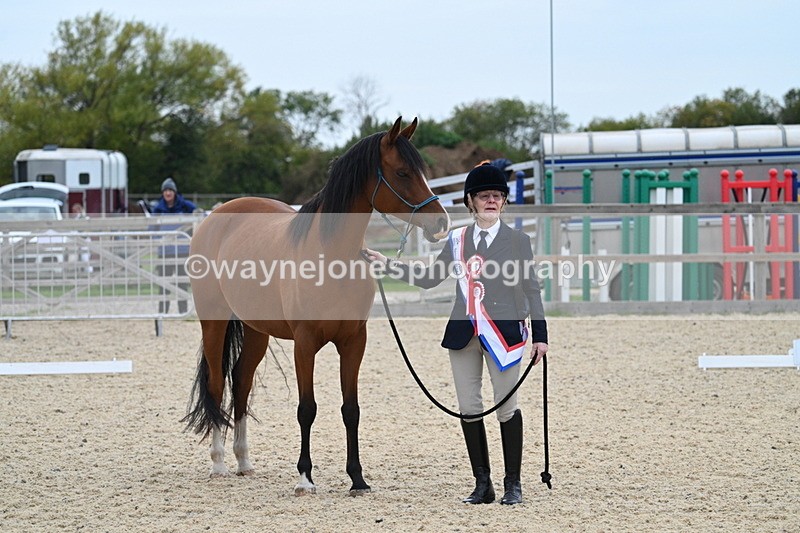 WJ7_1935 - Class 1 & Champs