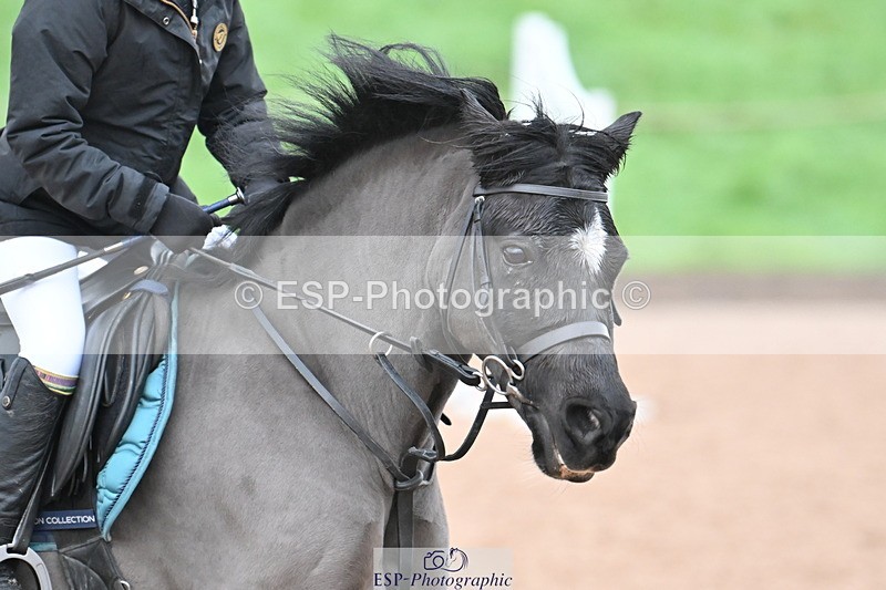 231203A-091114-00092 - Cls 11 Clear Round