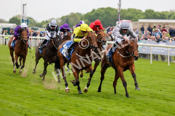 yr13052022r1-29 - Race 1 1.50pm Knights the new name for Langleys British EBF Marygate Fillies' Stakes