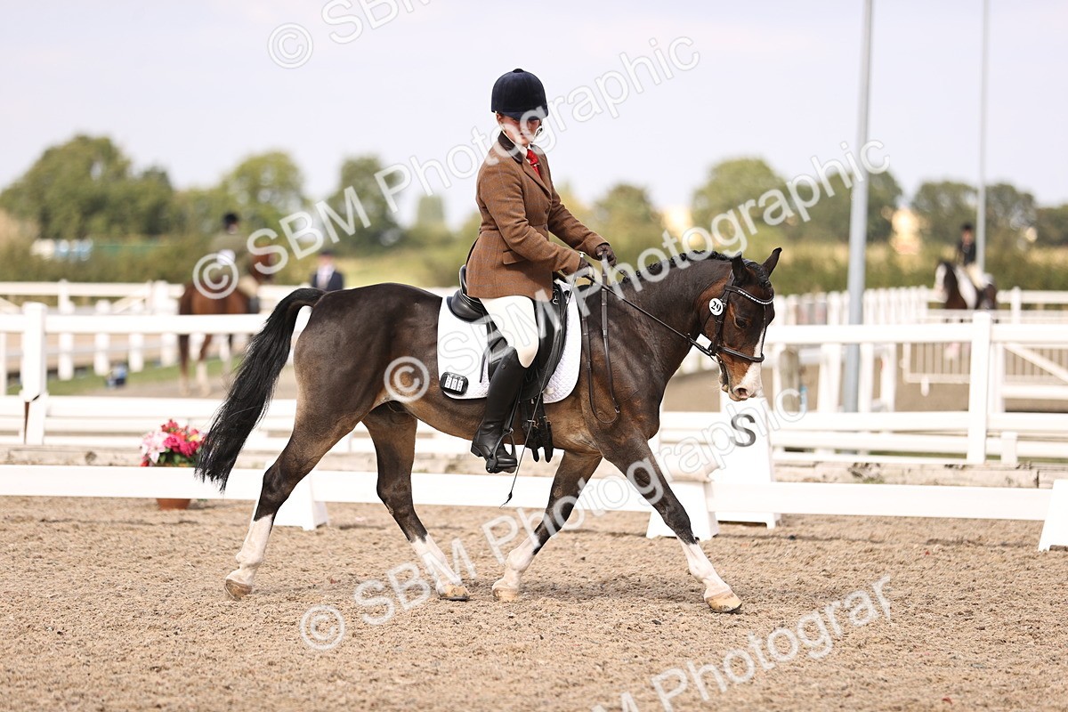 SBM_06065 - Class 37 Novice 5