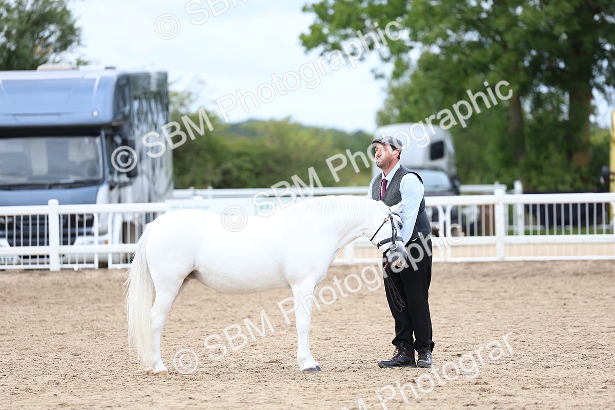 SBM_05857 - Class 29 - IH Veteran Pony