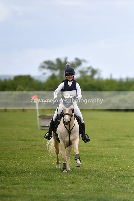 WJ5_3980 - Class 6 80cm