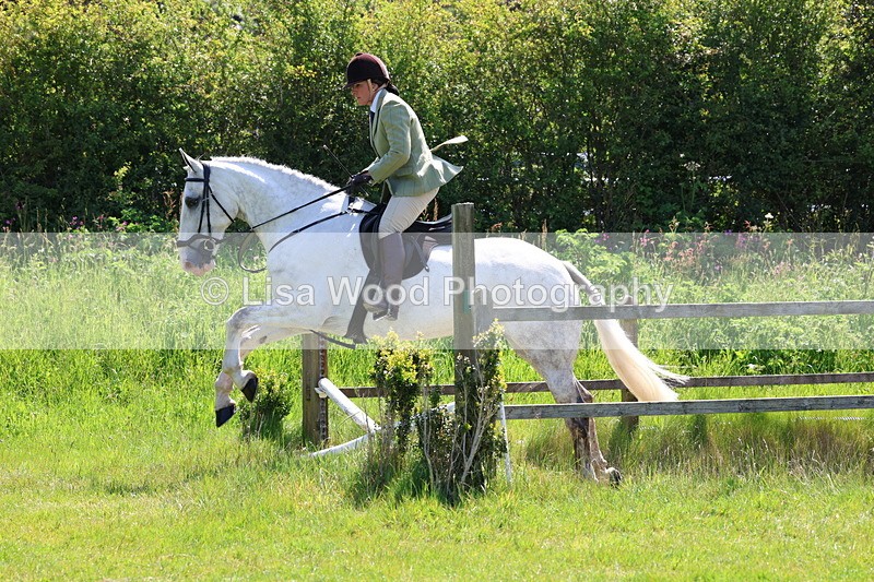 3E7A6912 - Class 30: Novice Working Hunter