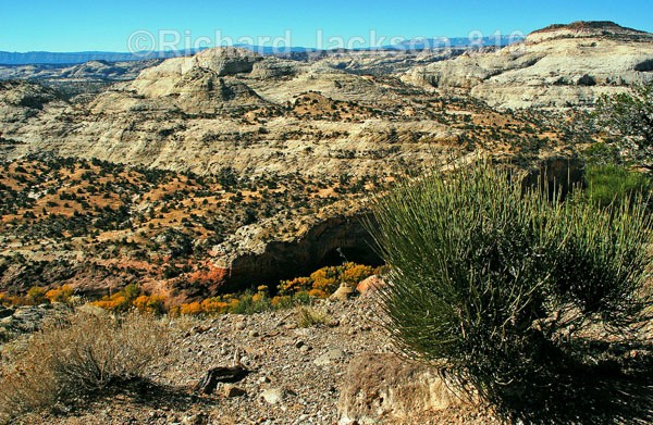 Photo #136 - Capital Reef National Park