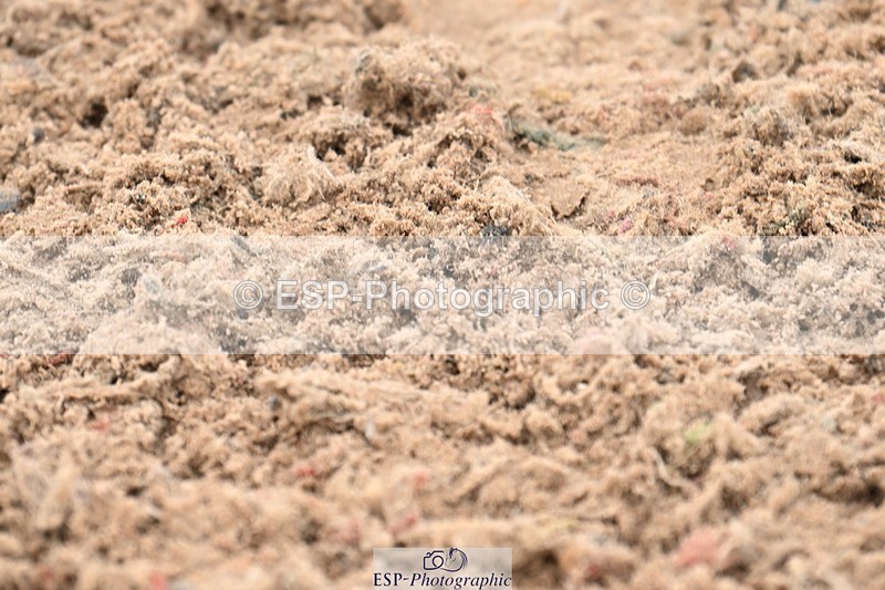 250424-131925-04501 - Cls 5 - 2 Star Medium Tour