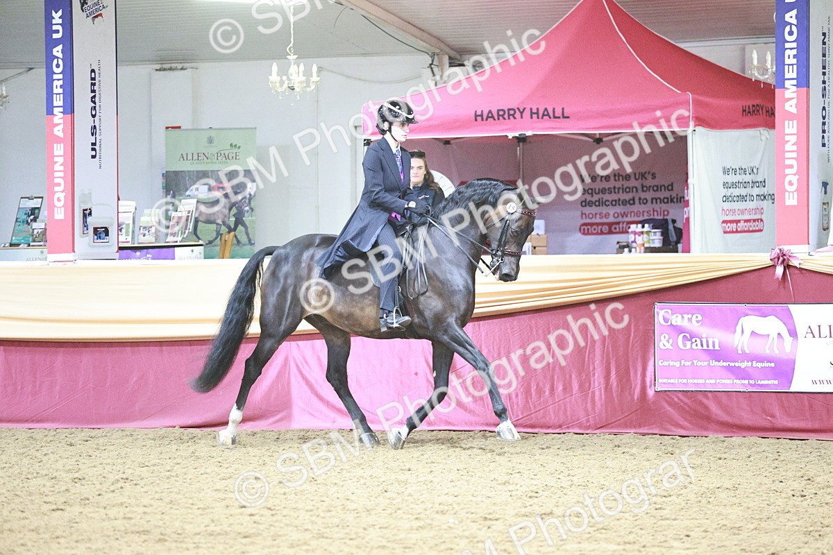 SBM_03368 - Class 6A Area Ridden Pre-Vet