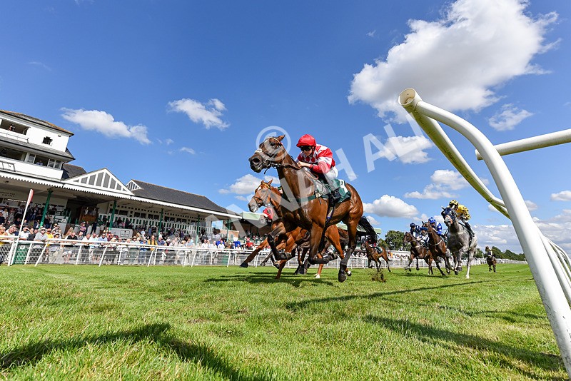 160725-Race 4-Lady Bouquet-7437 - Race 4