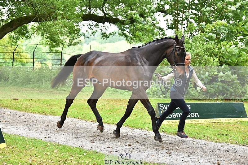 240522-170432-01367 - 237-UNDERDOG_Z-Izzy_Taylor