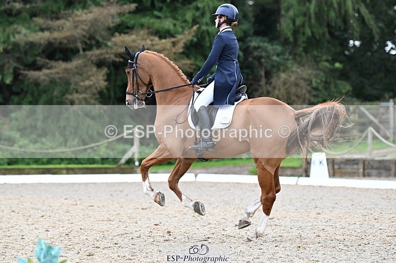 231019-130341-02923 - 049-AUGUSTUS.IMPERIOUS-Ines.Mitchell-DR