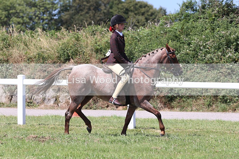 JPP_2736 - Class 21: Working Hunter 60cm
