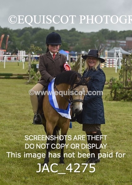 JAC_4275 - WORKING HUNTER CHAMPIONSHIP