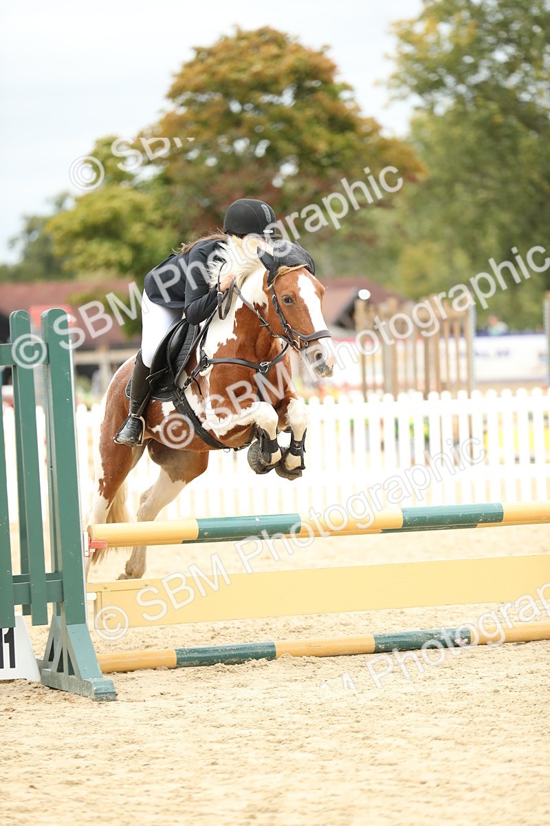 SBM_67779 - J15 - Junior Pony 70cm Championship