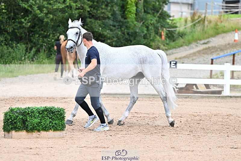 240718A-105324-01953 - Trot Up 2pm to 3pm - This folder is not in time order
