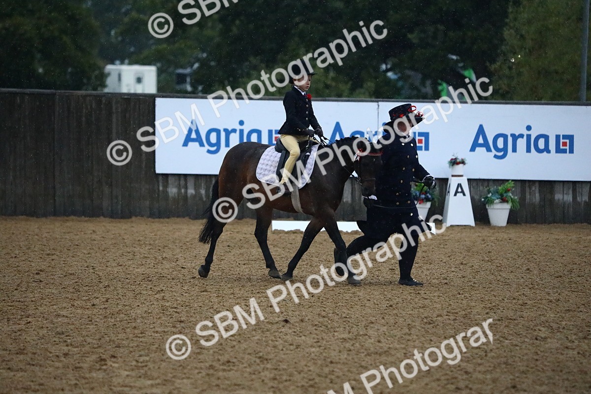 SBM_34696 - D26 - Starters Lead Rein