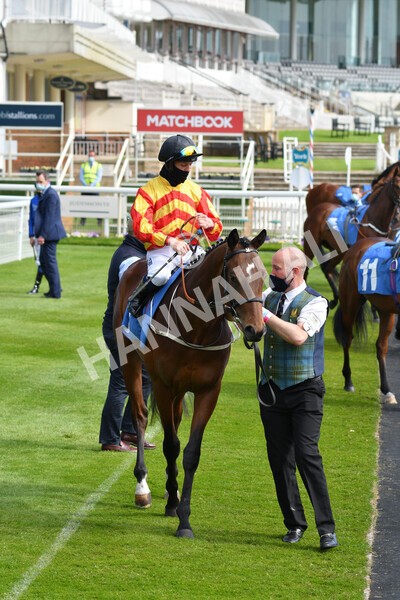 yr13052021r6-8 - Race 6 4.15pm Constant Security EBFstallions.com Maiden Stakes