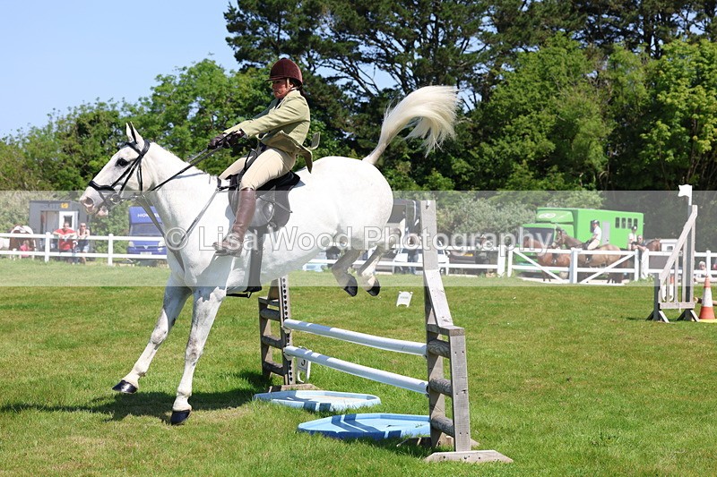 3E7A6908 - Class 30: Novice Working Hunter