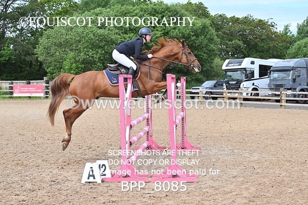 BPP_8085 - CLASS 11 SUN Senior BritiNovice/ 90cm Open